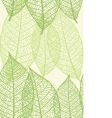 leaf pattern vector image