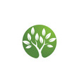tree symbol and icon logo design vector image