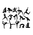 yoga activity silhouettes vector image vector image