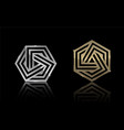 hexagon gold and silver 4 vector image vector image