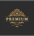luxury logo template object for logotype vector image vector image