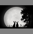 rabbit silhouette with full moon vector image