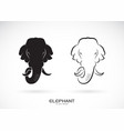 elephant head design on white background wild vector image vector image