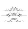 swirly divider vector image