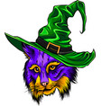 halloween of a cat dressed as a witch vector image