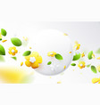 colorful flower in springtime with round banner vector image