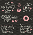 wedding design elements vector image
