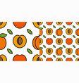 apricot fruit pattern linear slice vector image vector image