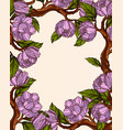magnolia flowers frame vector image vector image