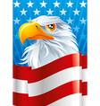 symbol of usa vector image vector image