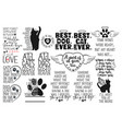 pet memorial quotes set rainbow bridge vector image