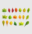 a big bright autumn leaves in set vector image