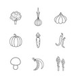 set hand drawn vegetables handdrawn elements vector image