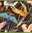 seamless tropical pattern with parrots in jungles vector image