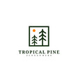 pine tree logo design template tropical forest vector image vector image