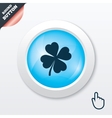 clover with four leaves sign st patrick symbol vector image vector image