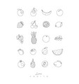 pen line fruits icons vector image