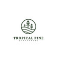 pine tree logo design template tropical forest vector image