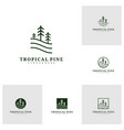 set of pine tree logo design template tropical vector image vector image
