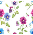 watercolor pansy flower pattern vector image