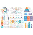 infographic elements vector image vector image