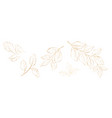 set of golden leaves vector image