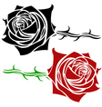 rose tattoo vector image