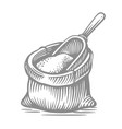 bag with flour or sugar baking ingredient bread vector image vector image