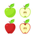 set red and green apples their pieces vector image vector image