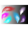 set isolated fluffy twirled feathers isolated vector image
