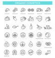 set of natural ingredients and oils vector image vector image