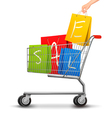shopping cart full of bags with a sale vector image vector image