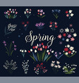 art print with botanical elements big collection vector image vector image
