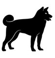 akita dog silhouette vector image vector image