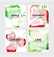 set four cards with garden fruits vector image