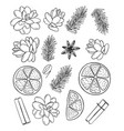 new year collection cones graphic fir twigs vector image vector image