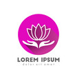 lotus flower logo concept vector image