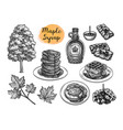 ink sketches desserts with maple syrup vector image