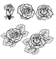 set of old school tattoo style roses isolated vector image