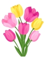 Spring flowers tulips on white background Vector Image