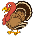 funny turkey cartoon vector image