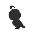 black silhouette isolated on white background vector image