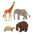 Wild animals posing together Royalty Free Vector Image