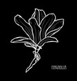 hand drawn floral decoration vector image