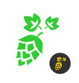 hop symbol with leaves vector image