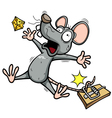 rat vector image