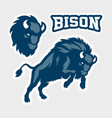 bison mascot design vector image