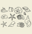 set of vintage seashells vector image