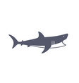 Cartoon shark character magnificent sea animal Vector Image