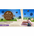 a image chocolate chunks with splash milk vector image